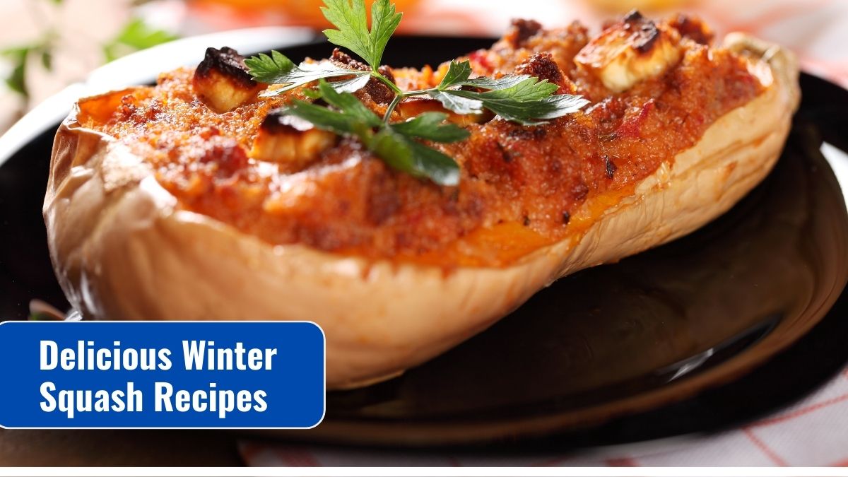 Delicious Winter Squash Recipes