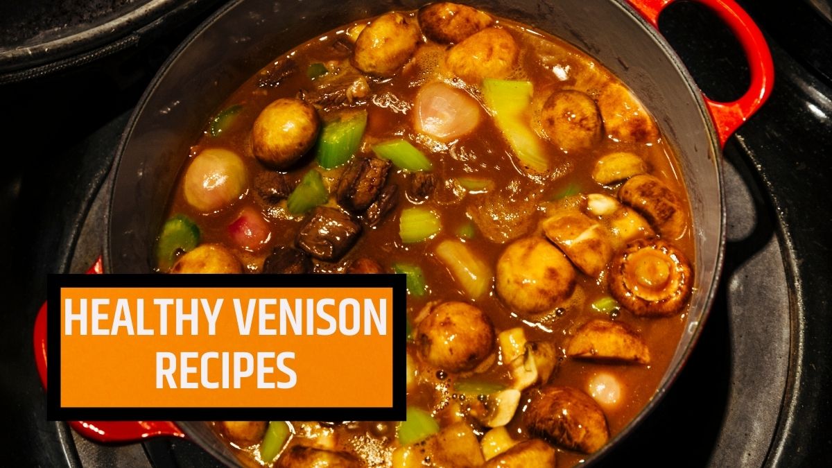 Healthy Venison Recipes