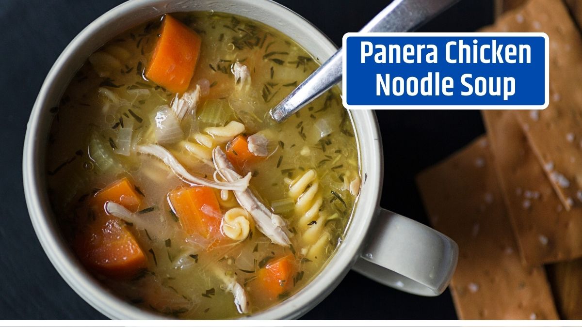 Panera Chicken Noodle Soup