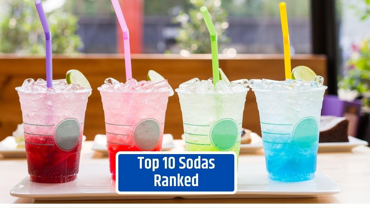 Top 10 Sodas Ranked